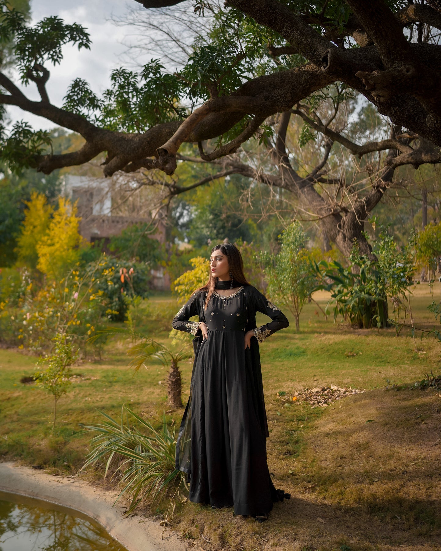 Black Elegance